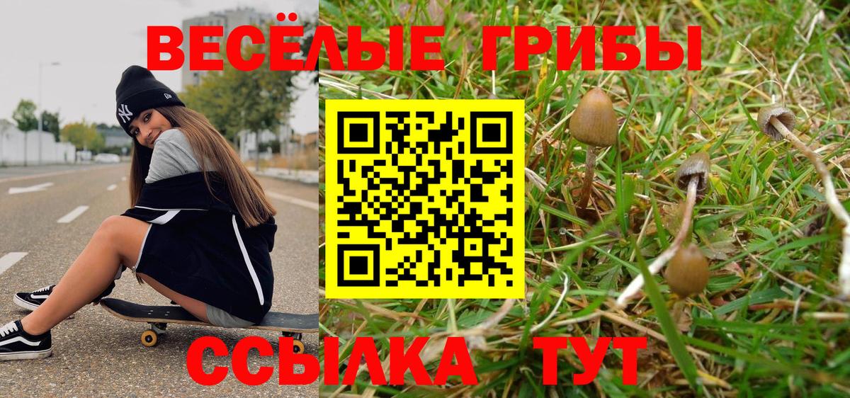 Псилоцибиновые грибы мухоморы Ипатово