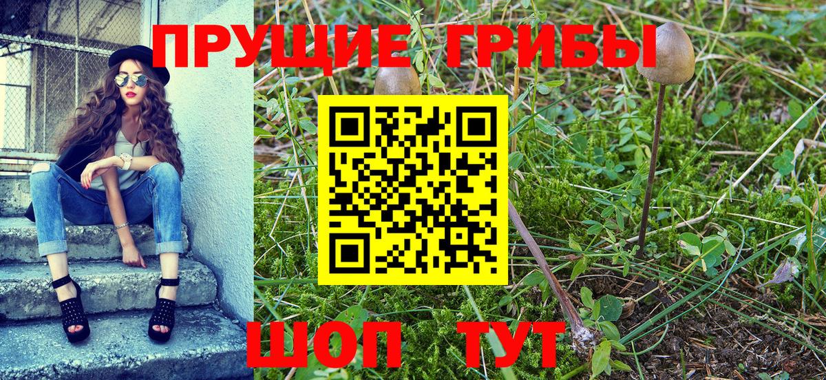 Галлюциногенные грибы MAGIC MUSHROOMS  Вход с VPN  Ипатово  Галлюциногенные грибы мухоморы 